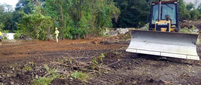 Photograph of a bulldozer clearing a wooded site. With Falcone & Sons worker on site.